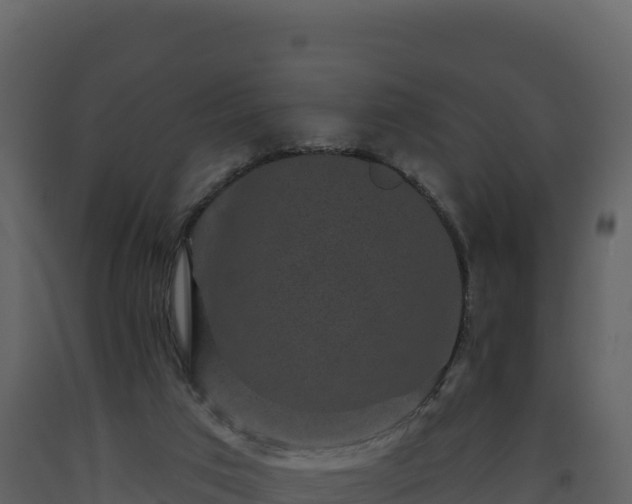 X0000093480017200710191216