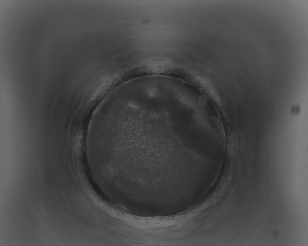 X0000093480018200710191216