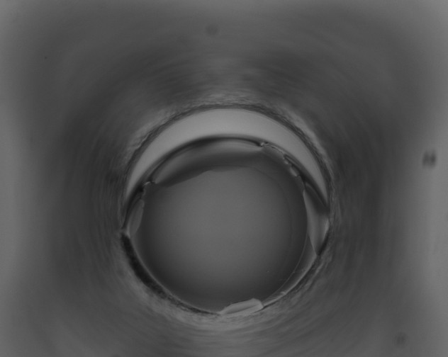 X0000093480019200710191216