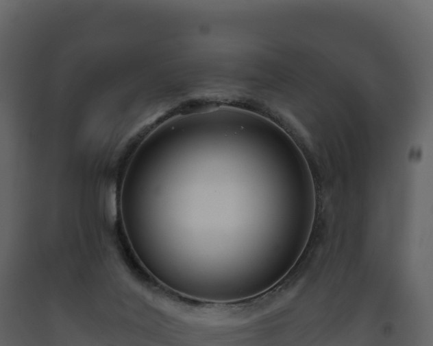 X0000093480020200710191216