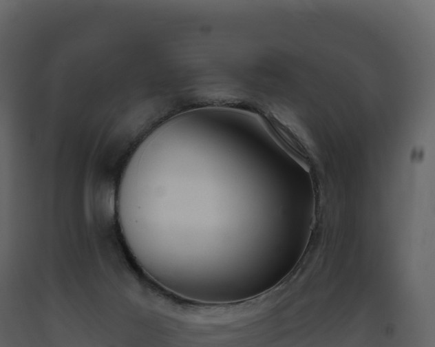 X0000093480021200710191216