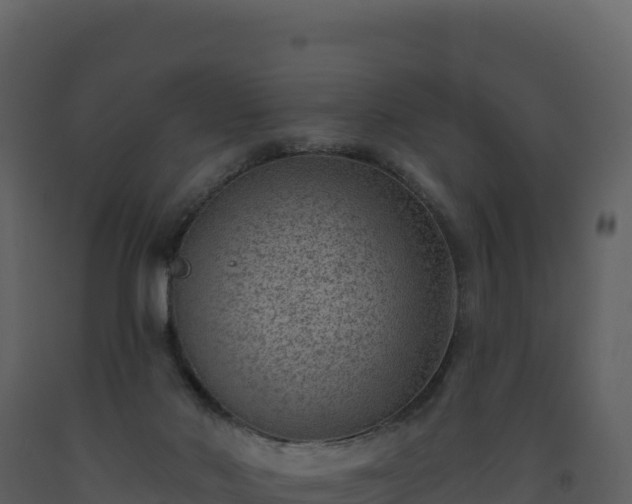 X0000093480022200710191216