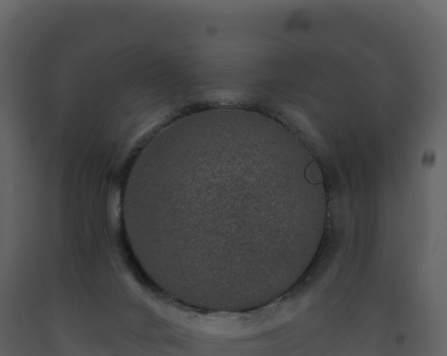 X0000093480024200710191216