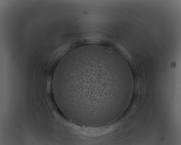 X0000093480026200710191216