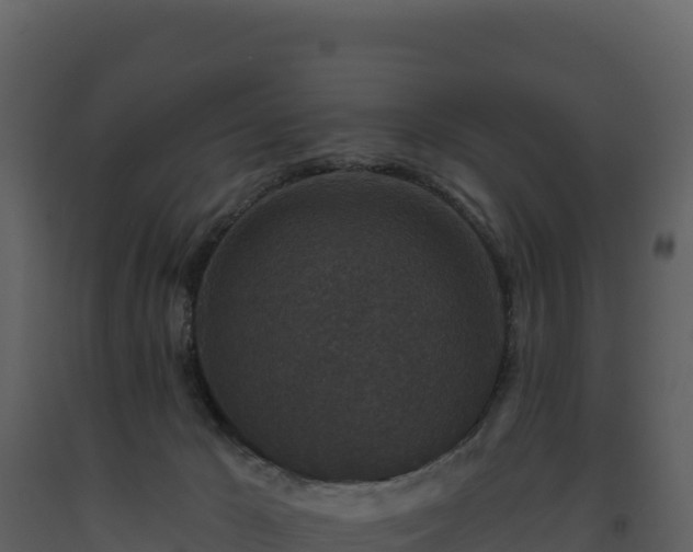 X0000093480029200710191216
