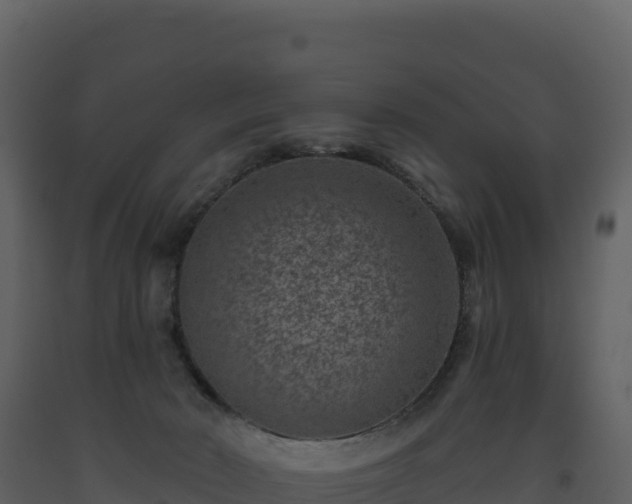 X0000093480030200710191216