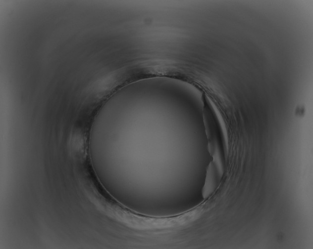 X0000093480031200710191215