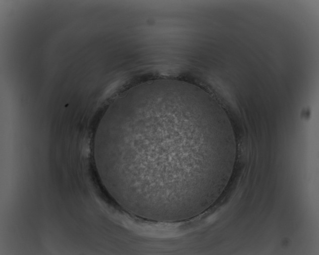 X0000093480032200710191215