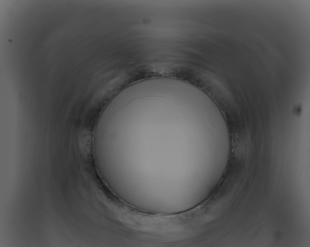 X0000093480036200710191215