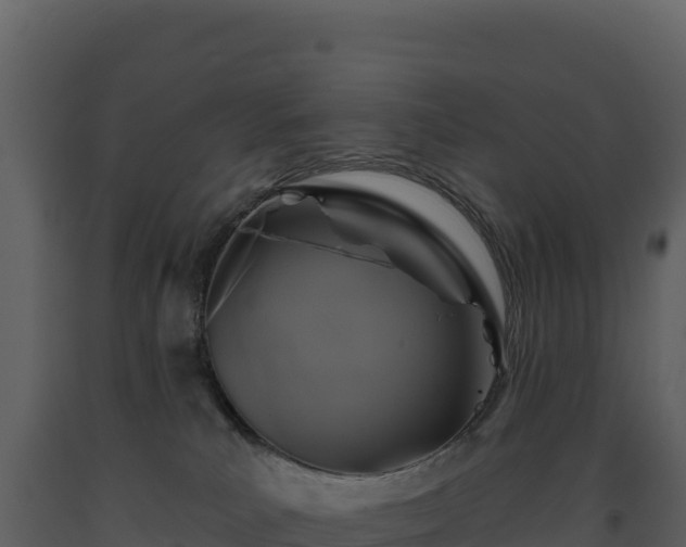 X0000093480039200710191215