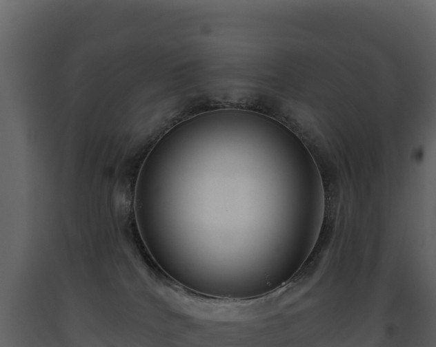 X0000093480040200710191215