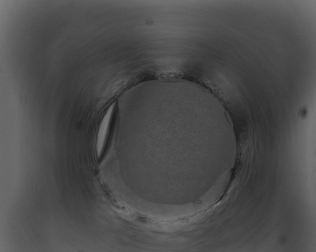 X0000093480041200710191215