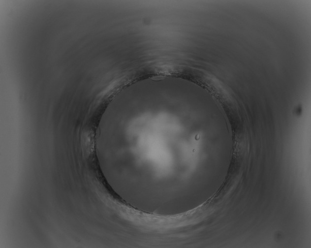 X0000093480043200710191215