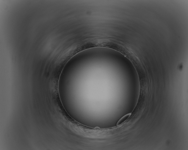 X0000093480044200710191215
