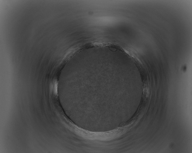X0000093480046200710191215
