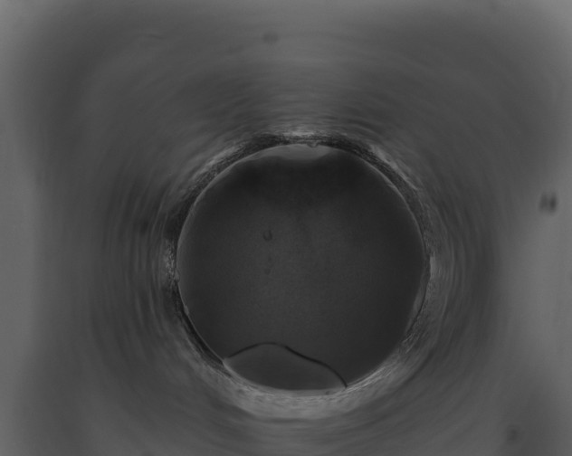 X0000093480048200710191215