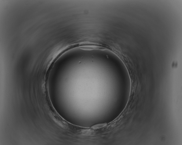 X0000093480050200710191215