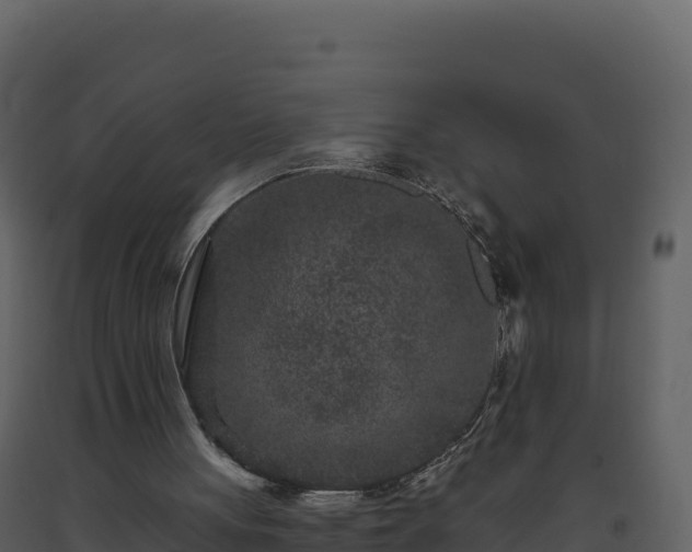 X0000093480051200710191215