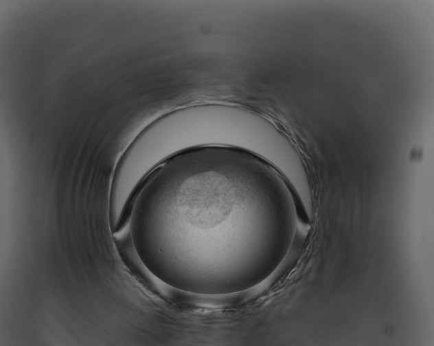 X0000093480052200710191215