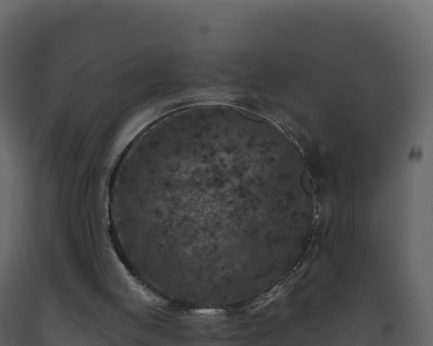 X0000093480053200710191215