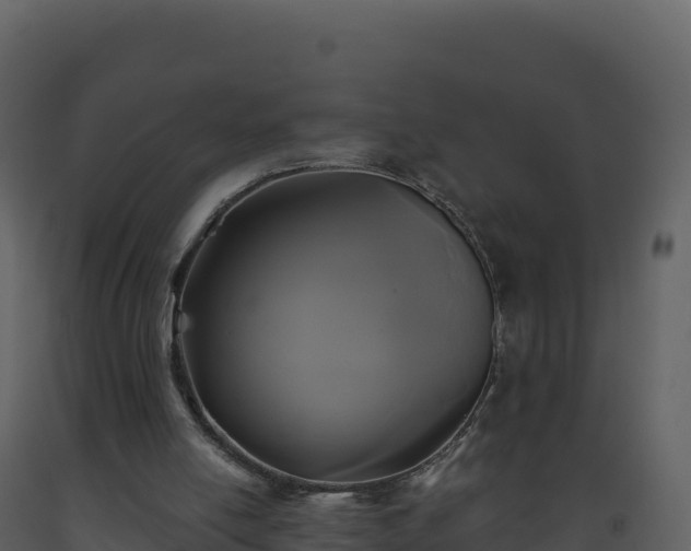 X0000093480054200710191215