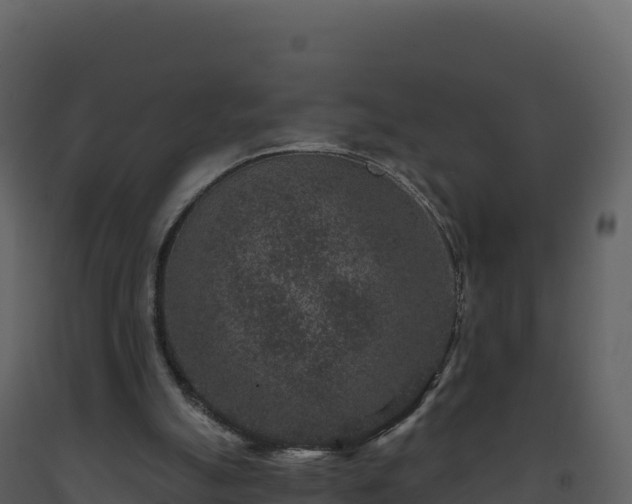 X0000093480055200710191215