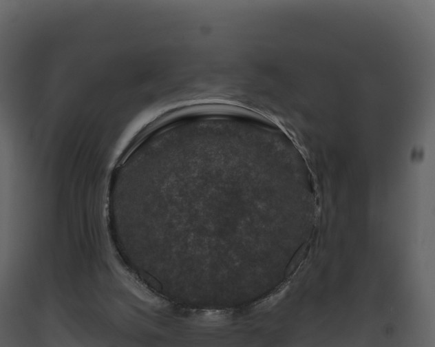 X0000093480056200710191215