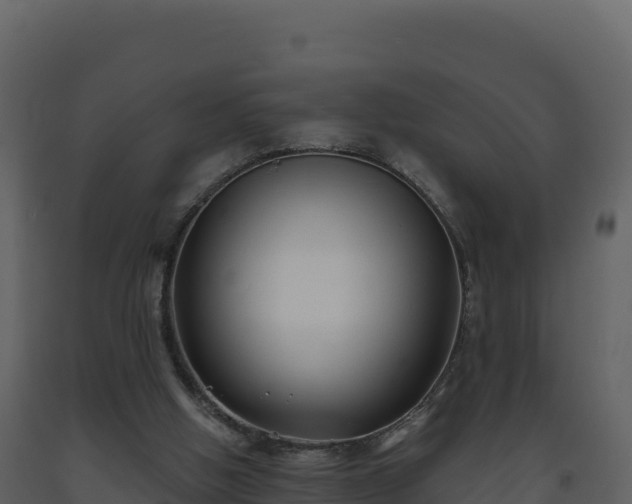 X0000093480058200710191215