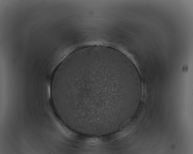 X0000093480061200710191215