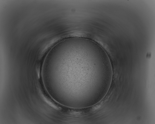 X0000093480062200710191215