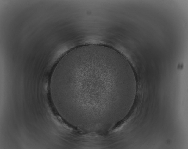 X0000093480063200710191215