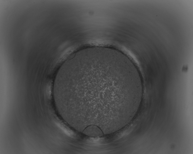 X0000093480065200710191215