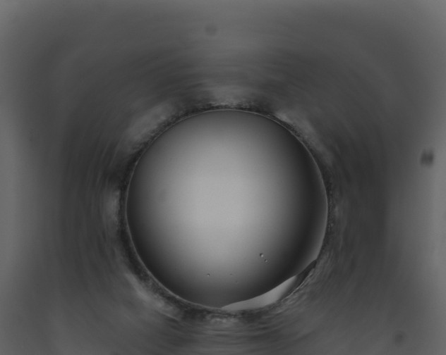 X0000093480066200710191215