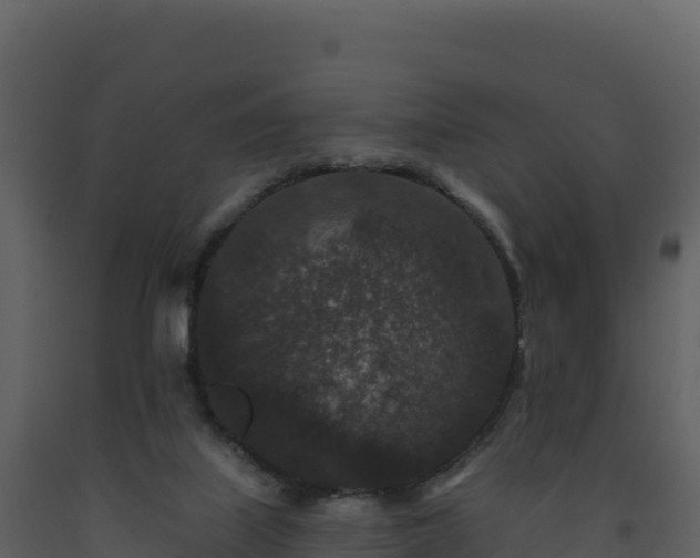 X0000093480067200710191215