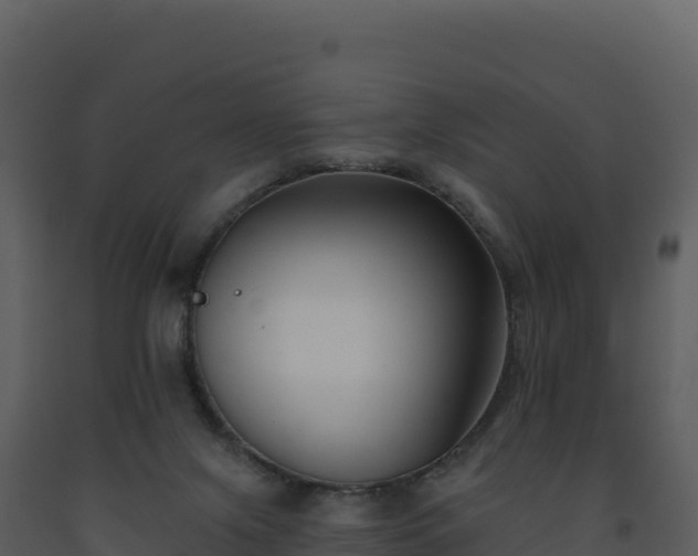 X0000093480071200710191215