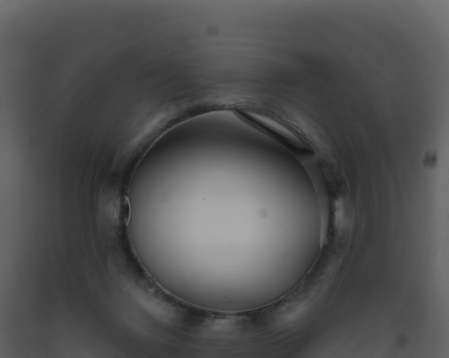 X0000093480072200710191215