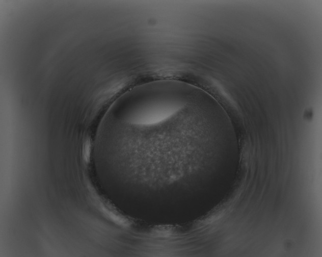 X0000093480076200710191215
