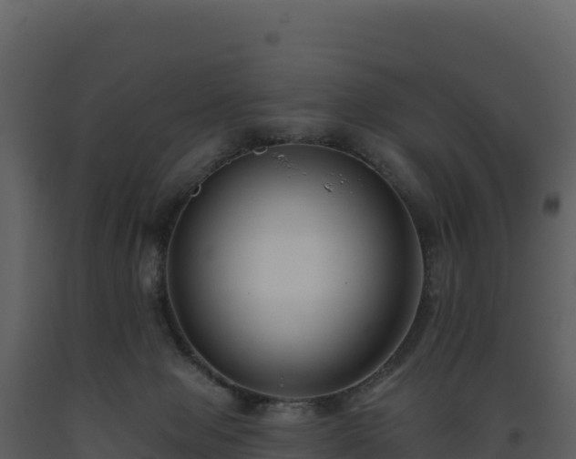 X0000093480077200710191215