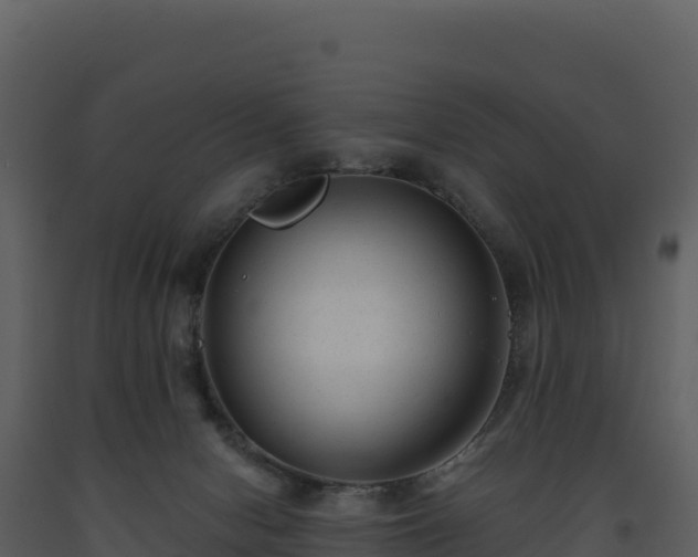 X0000093480078200710191215
