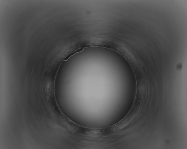 X0000093480079200710191215