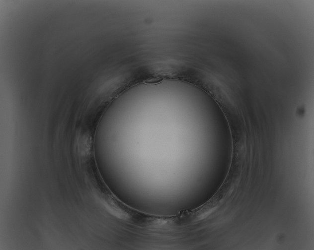 X0000093480081200710191215