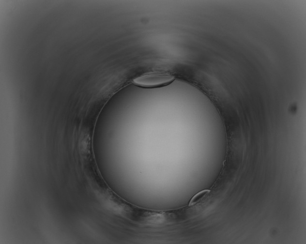 X0000093480083200710191215