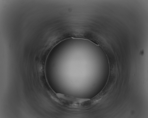 X0000093480084200710191215