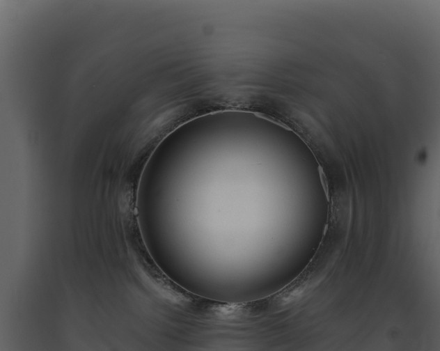 X0000093480092200710191215