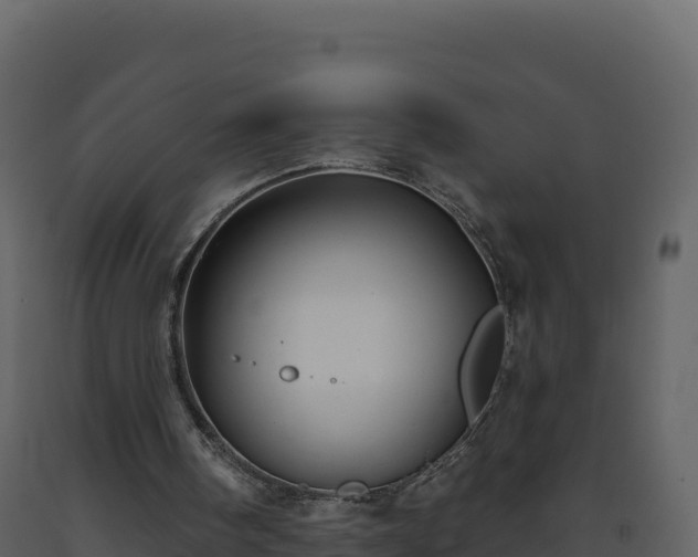 X0000093480098200710191215