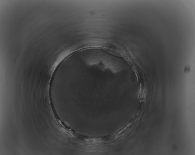 X0000093480099200710191215