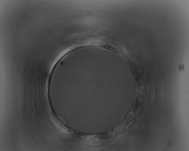 X0000093480100200710191215