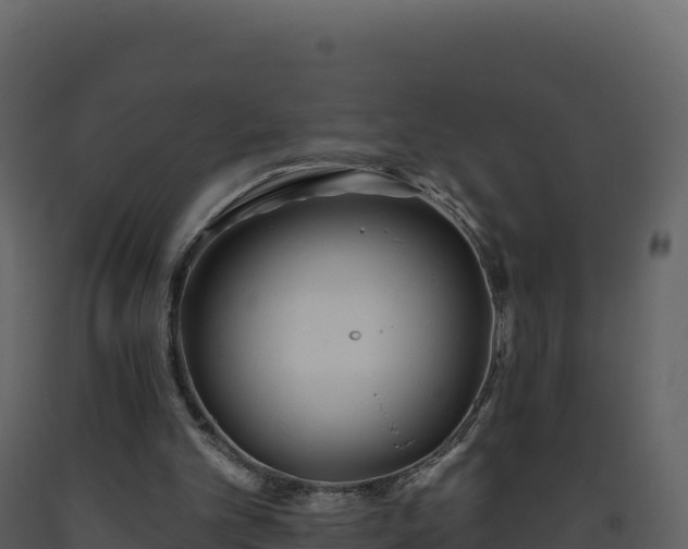 X0000093480101200710191215