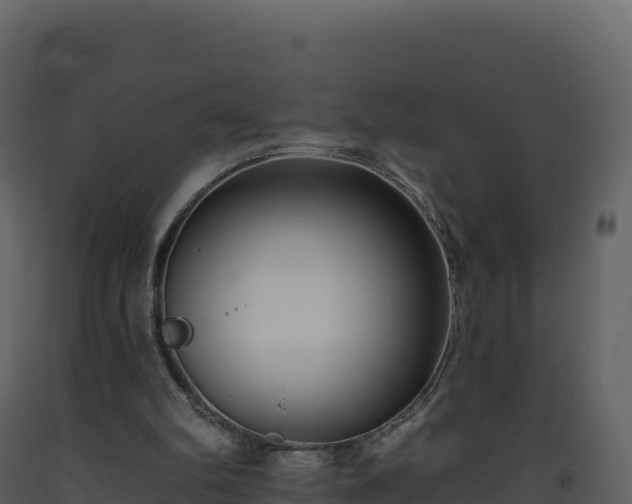 X0000093480102200710191215
