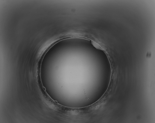 X0000093480103200710191215